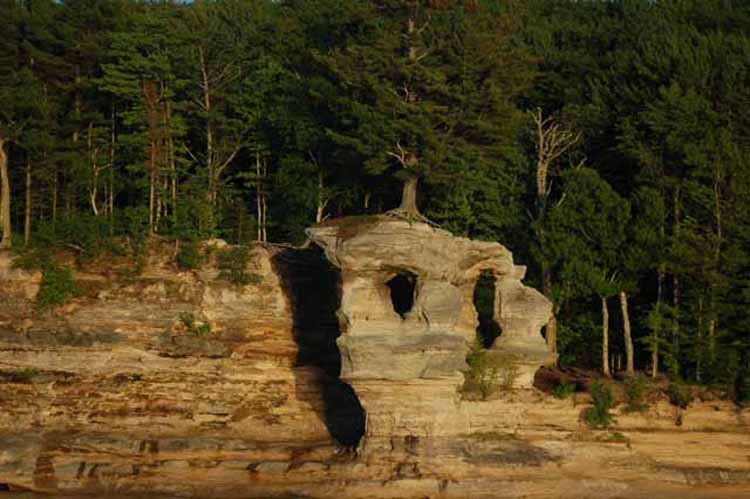 a lone tree on Chapel Rock